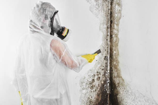 Best Water Damage Restoration  in Meriden, CT