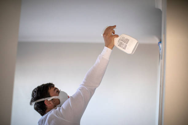 Home Mold Removal in Meriden, CT
