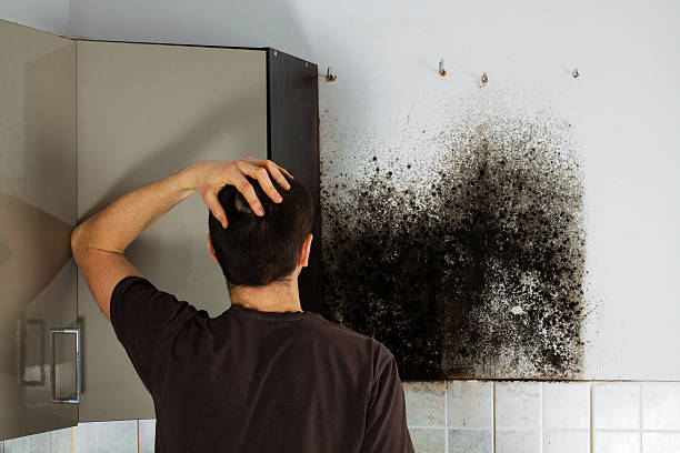 Water Damage Restoration in Meriden, CT